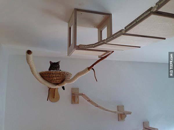 如果你家的貓咪喜歡窩在書櫃上，或任何傢俱的頂端，那你一定可以想像，這些吊橋肯定會是他們的天堂。