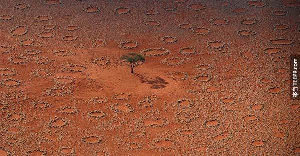 2.) 非洲納米比亞(Namibia)的「仙女圈」。迄今，都還沒有人證實這個現象是怎麼發生的，但很多人認為這些是白蟻的傑作。