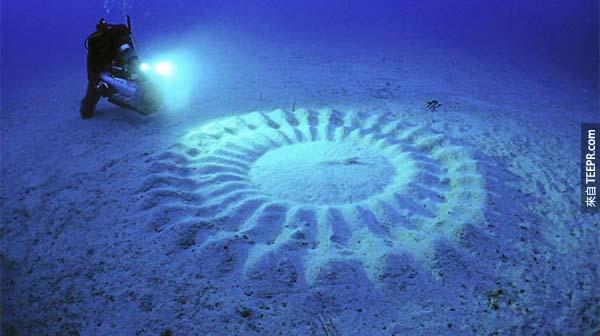 10.) 海底下的麥田圈(Underwater crop circles): 這是河豚在交配期間，為了吸引母河豚所設計出來的"藝術"。