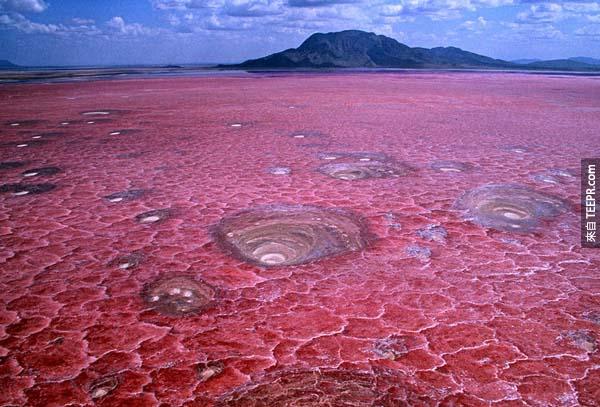24.) 曼雅拉的納特龍湖(Lake Natron): 這個鹹水湖有蘊含豐富溫泉礦物質。它也是東非250萬隻紅鶴的繁殖地喔。