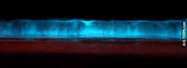 27.) 赤潮(Red tide): 這是會發光的渦鞭毛藻在一定的條件下突然聚集所產生的暗紅色水波。