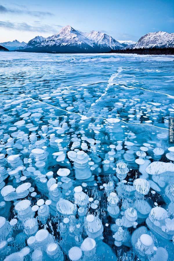 5.) 冰凍的泡泡湖: 位於亞拉伯罕(Abraham)的亞伯達湖(Alberta)，湖裡頭的藻類，在生長時所產生的氣泡在冬天時會冰凍在冰層中。