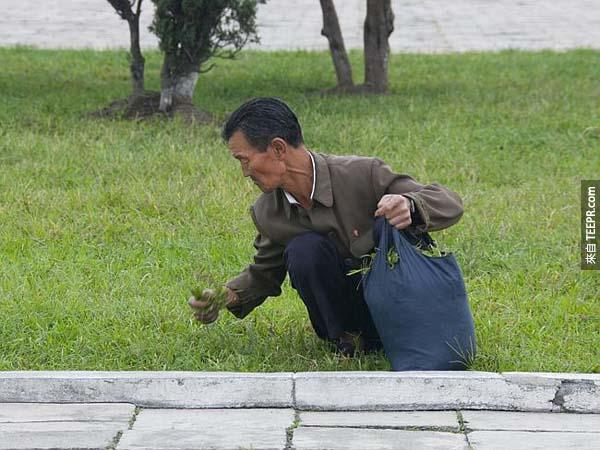 在北韓，這張照片裡的景像其實很常見，但是如果被守衛知道你拍了這樣的照片，他們會很生氣。