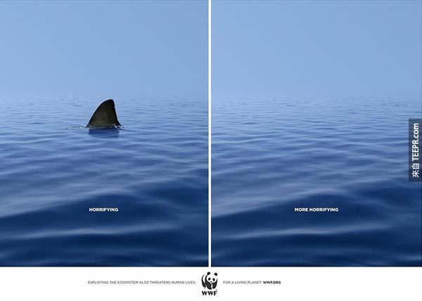 2.) WWF – 哪一个比较可怕？有鲨鱼还是没有鲨鱼？