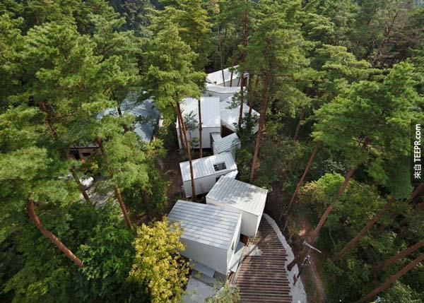 7.）位於日本大山町的這座建築很特別，他們並沒有為了蓋房子把森林中的樹木砍伐掉，而是改變房屋結構讓房子被樹林包圍。