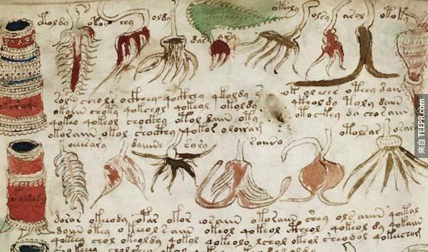 2.) 伏尼契手稿 (Voynich Manuscript): 這份宣稱已有600年的歷史手稿，所使用的文字仍難以被解讀，但它有可能是一本醫學參考書。