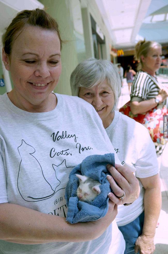 小貓咪後來被一位善心人士從Petopia的組織領養走，受到了非常良好的照顧。小貓因為頭上心型的斑點，而被命名爲Valentino。