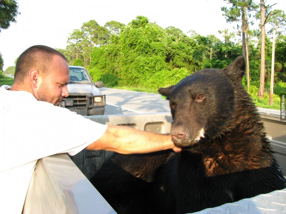 这只黑熊好像在告诉我说，他有一个大故事可以跟他的熊朋友说了...
