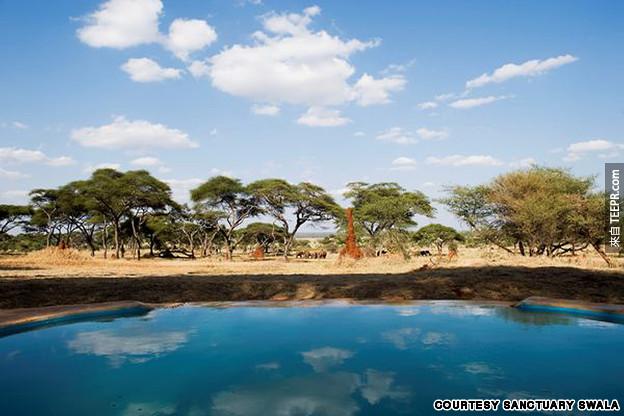 #14. 這個在非洲坦尚尼亞的泳池，可以俯瞰到塔蘭吉雷國家公園中漫步的野生動物。