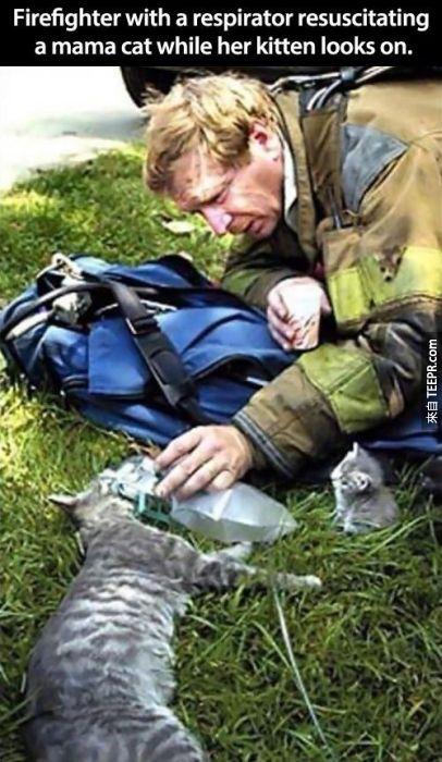 消防員正在幫小貓的媽媽做呼吸器急救。