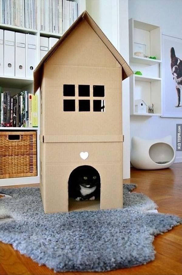 3.) 你也可以用紙箱幫你家的小貓做一個家。