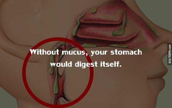 如果身體沒有分泌黏液的話，胃部會自行消化食物。