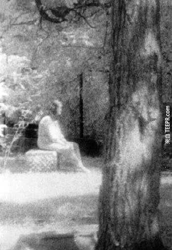 8. 树林里的倩影 － 这是1991年在一个很知名闹鬼的伊利诺伊州Bachelor树林里拍摄的。虽然鬼魂研究中心看了这张照片后有一些怀疑，但是拍摄这张照片的人说当时真的没有看到有一个女子坐在那里。