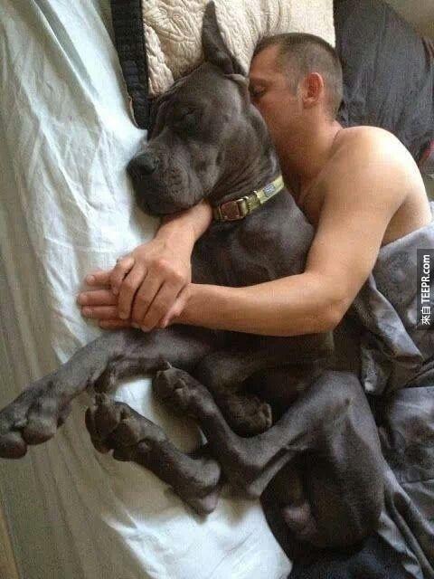 13. Hey, dudes are allowed to spoon with their favorite, dog, too.