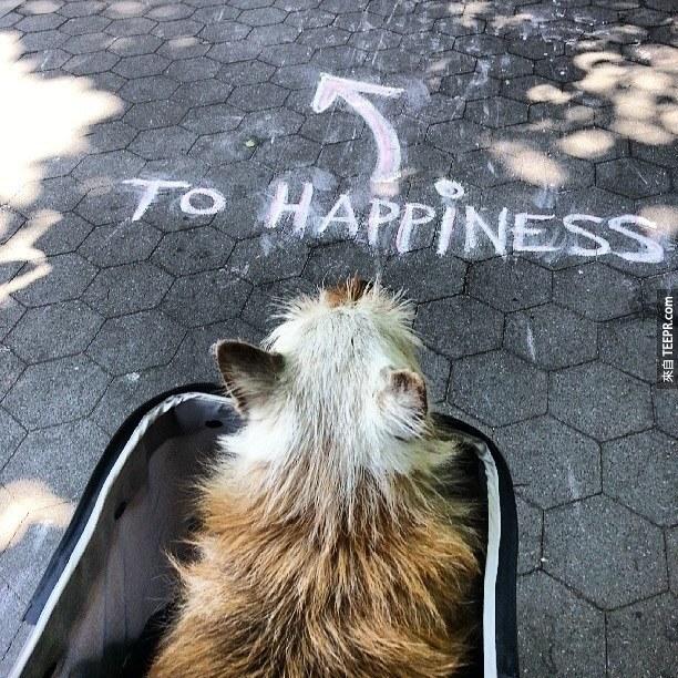 這是 Elmo 將前往的唯一路徑：幸福。