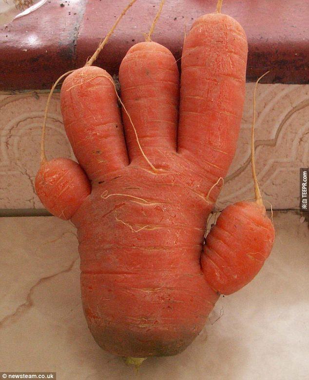 16. 手掌蘿蔔