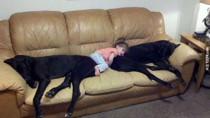 cute-big-dogs-and-babies-11
