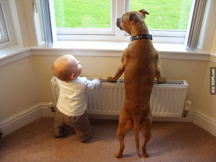 cute-big-dogs-and-babies-13