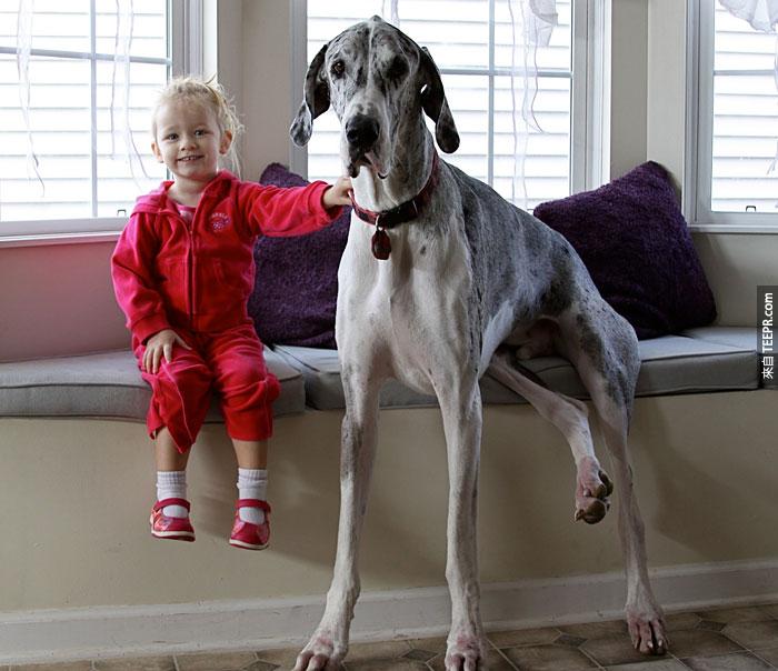 cute-big-dogs-and-babies-21