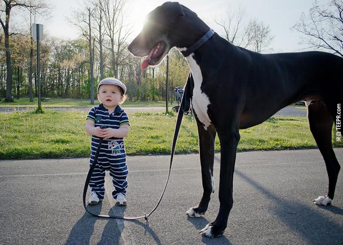 cute-big-dogs-and-babies-29