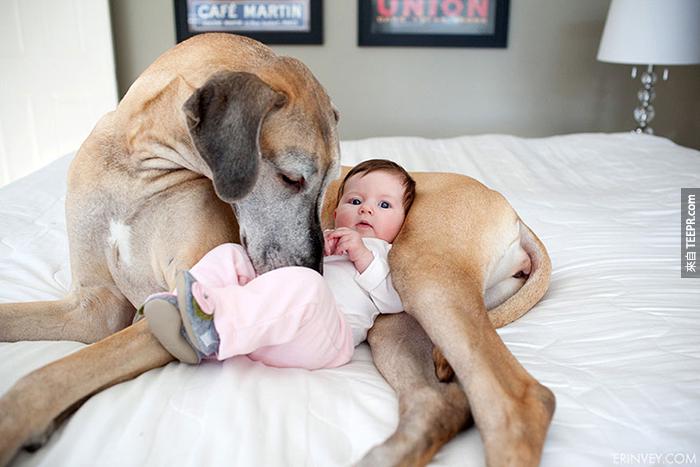 cute-big-dogs-and-babies-31