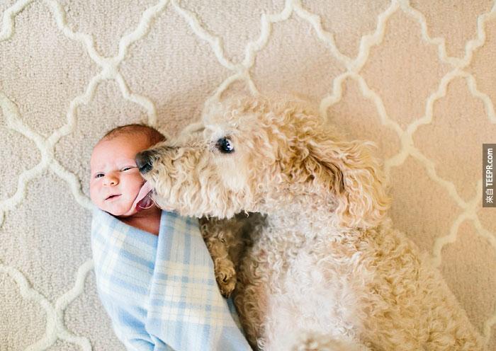 cute-big-dogs-and-babies-8