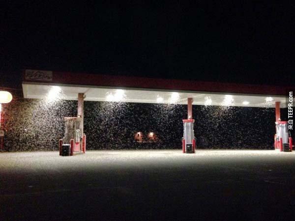 外面的加油站...看起來好像在下雪...
