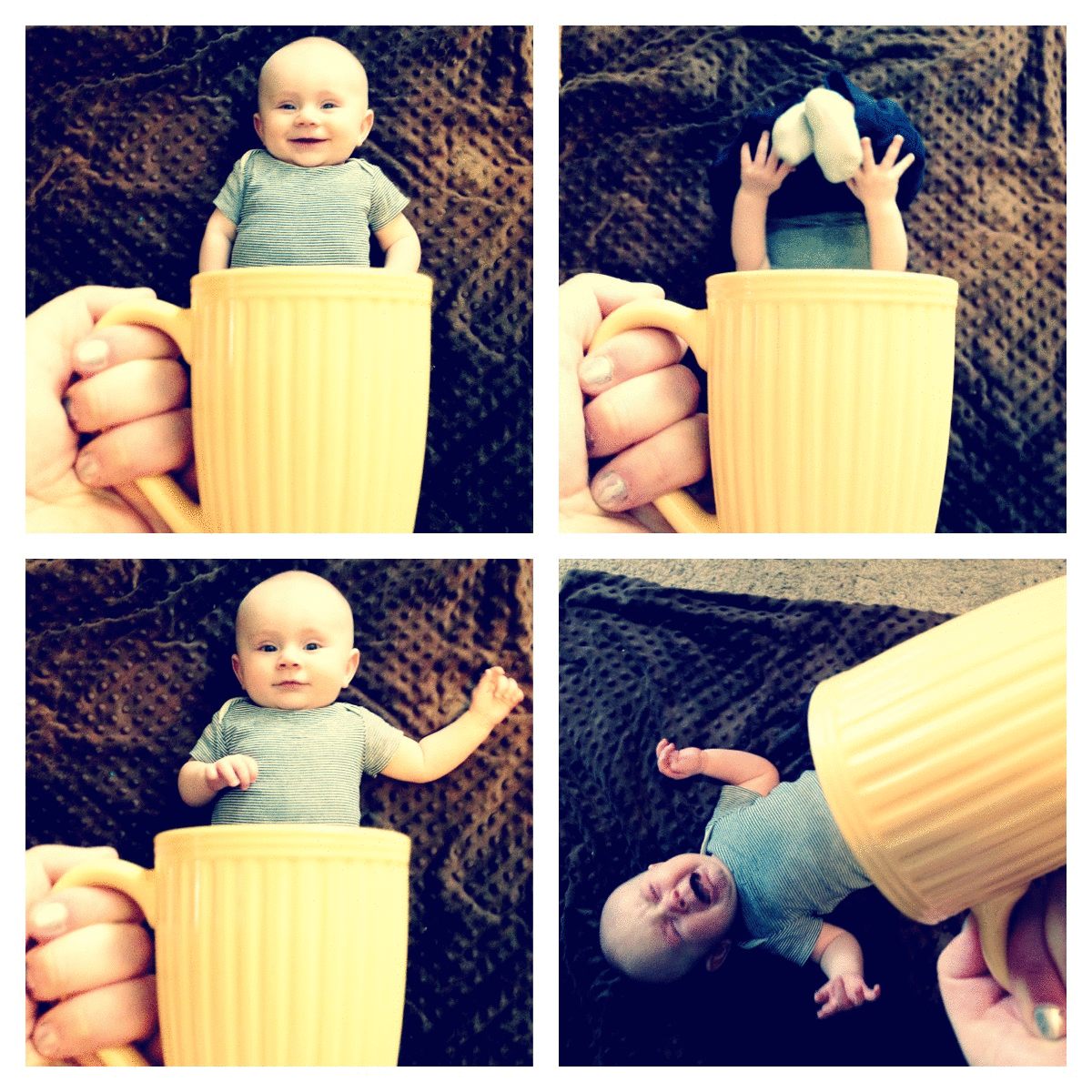 Baby in a Mug