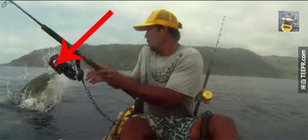 漁夫釣魚地時候鯊魚從水中把他的魚搶走