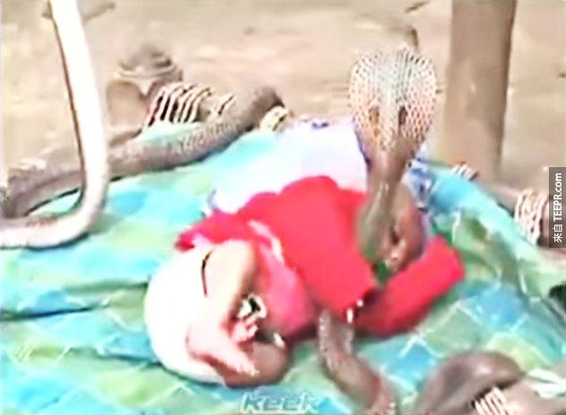 眼鏡蛇圍著一個人類小嬰兒