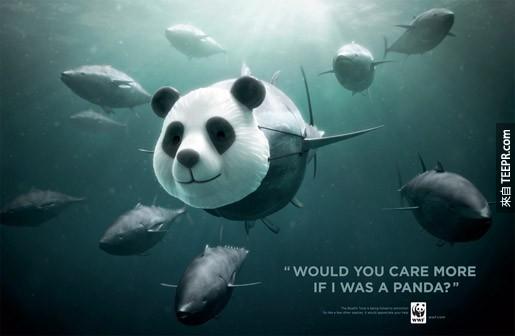 11. 如果他是熊貓的話，你會比較在乎嗎？(沒錯，全世界最在乎的都是熊貓，但還有很多需要關心的動物。)