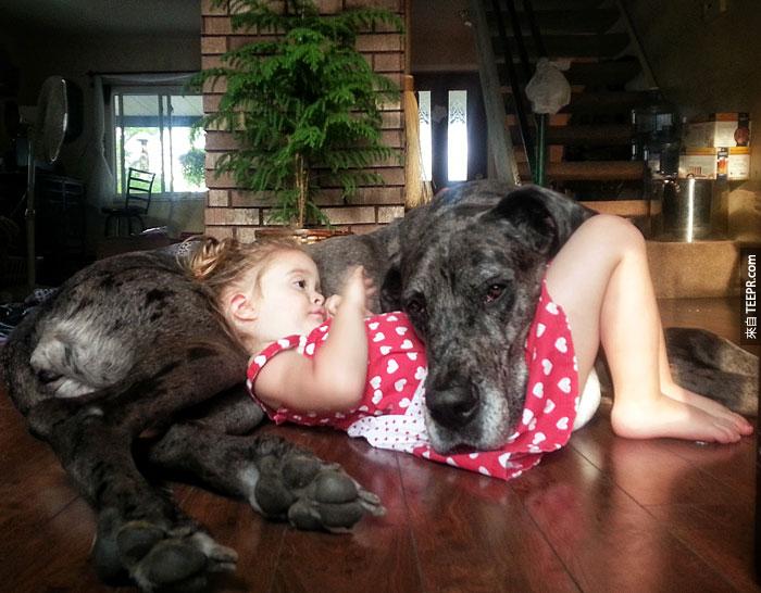 cute-big-dogs-and-babies-5
