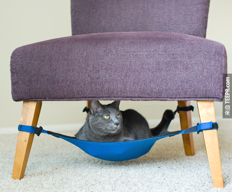 18. 可以綁在椅子下的貓咪小床。