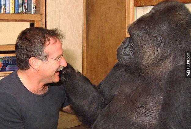 In 2001, Robin Williams met Koko, the gorilla who communicates in sign language, at The Gorilla Foundation in Woodside, Calif. The two immediately became friends.