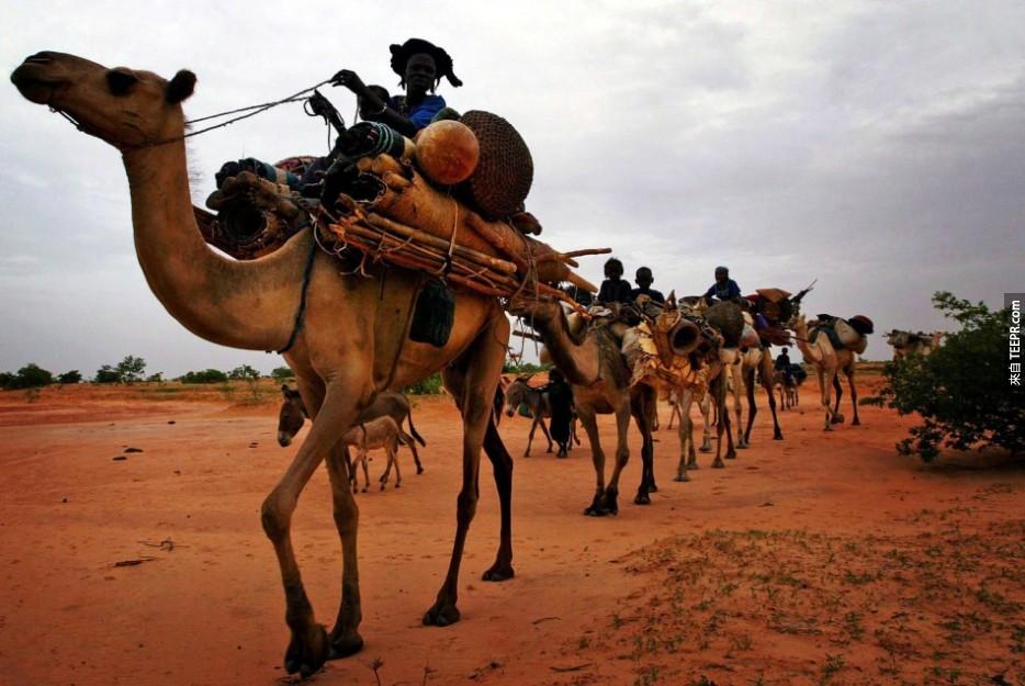 和鹽商一起穿越撒哈拉沙漠(Sahara Desert)：北非(North Africa)。
