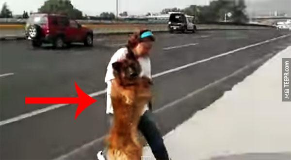 墨西哥女子拯救馬路傷的狗