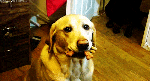 18 Struggles Of Everyone Who Is Constantly Hungry