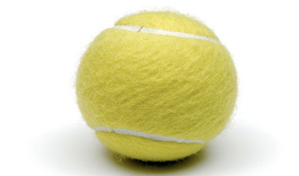 19. 拿一顆網球，然後用力地擠壓它，這大概就是心臟跳動打送血液的力道。