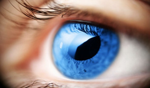 10. 你的角膜(cornea)是唯一沒有被傳送到的細胞。