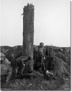 17. 在一次世界大战的时候，德国人建了一颗7.6公尺的铁树，来监视同盟国(Allies)。为了完成这项任务，他们在晚上有战火围绕的时候，把一棵树砍掉，这样同盟国军才不会听到劈砍的声音。