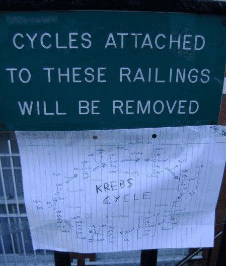 6. 欄杆寫了「繫在上頭的腳踏車會被移走」，卻被貼上一張「檸檬酸循環」的表。(Cycle有腳踏車、也有循環的意思)。