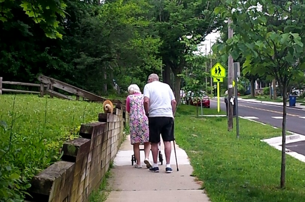 20. 這對老情侶會跟他們的貓，一起在附近的街區散步。