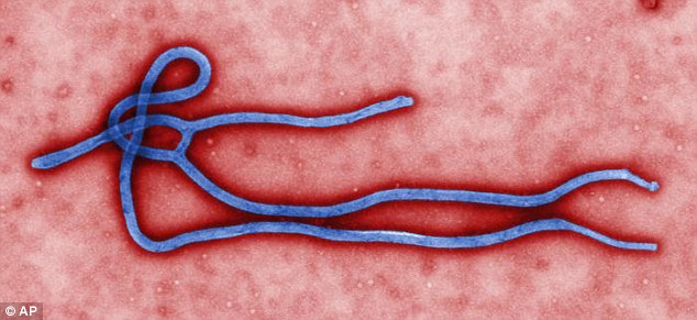 As the death toll from Ebola reaches 3,800, experts are warning that the virus could mutate and become airborne