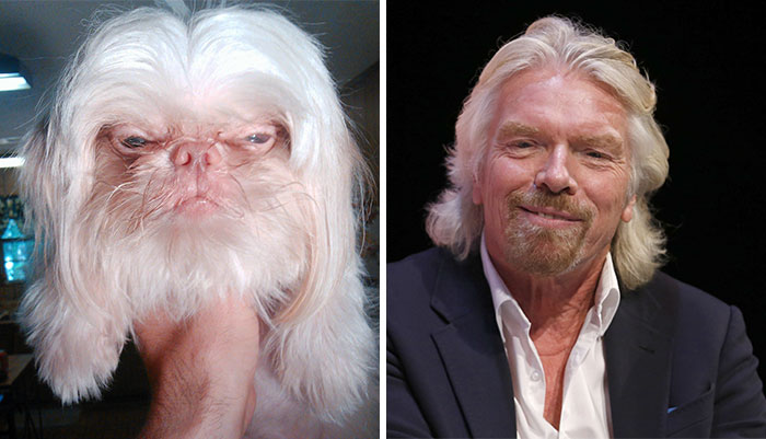 12. 狗 vs. 英國企業家理查德·布蘭森 (Richard Branson)