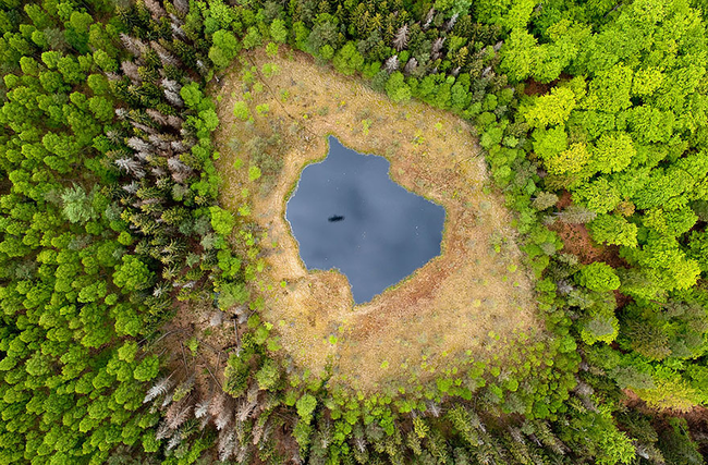 7）森林湖 - 波蘭。