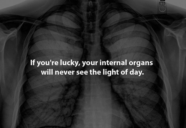 13.) 如果你够幸运，你身体里头的器官永远不会见到外头的阳光。