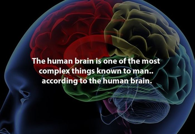 7.) 在我們人類大腦中，大腦是我們所知道最複雜的東西。(聽的我大腦都痛了...)