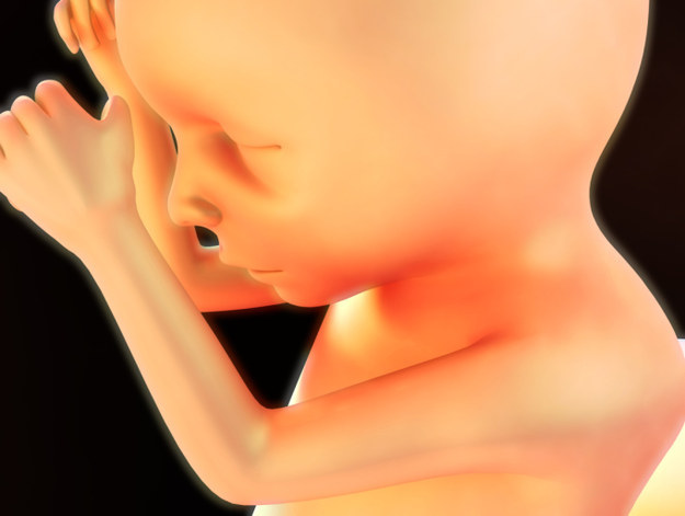 16. 小嬰兒會在子宮裡頭哭。