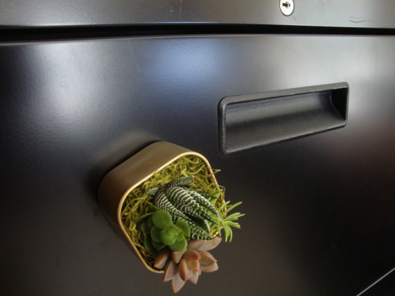 8. 如果你房間沒空間擺大盆的植物，你可以擺個小的，用磁鐵吸附的。