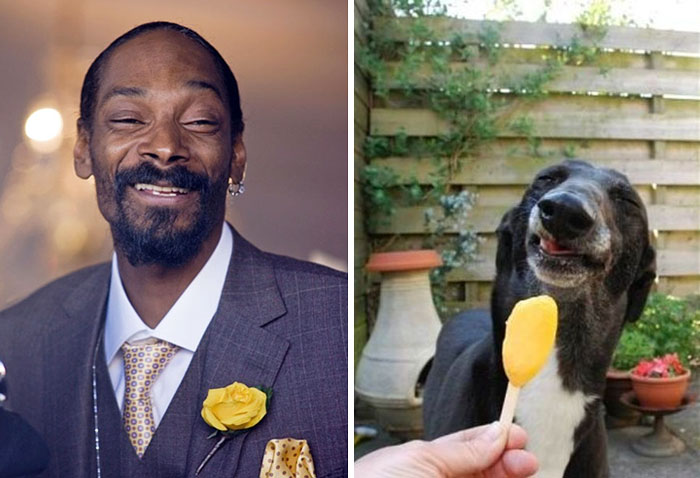 13. 饒舌歌手 史努比狗狗 (Snoop Dog) vs. 狗